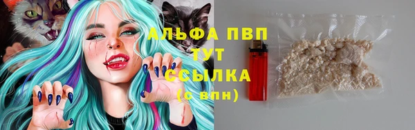 гидропоника Белокуриха